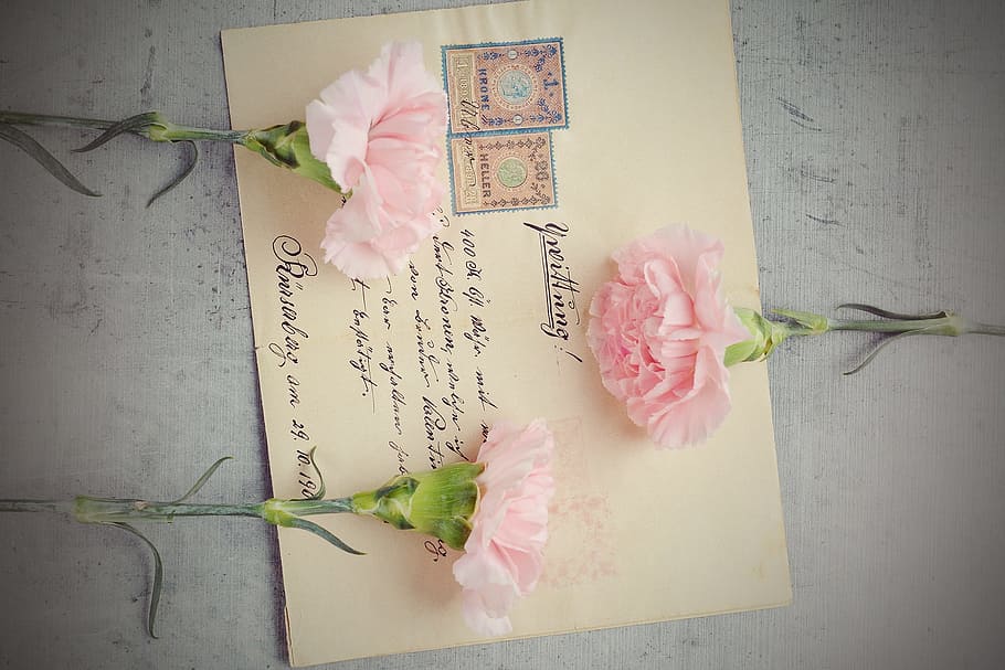 three pink petaled flowers on beige printer paper, letters HD wallpaper