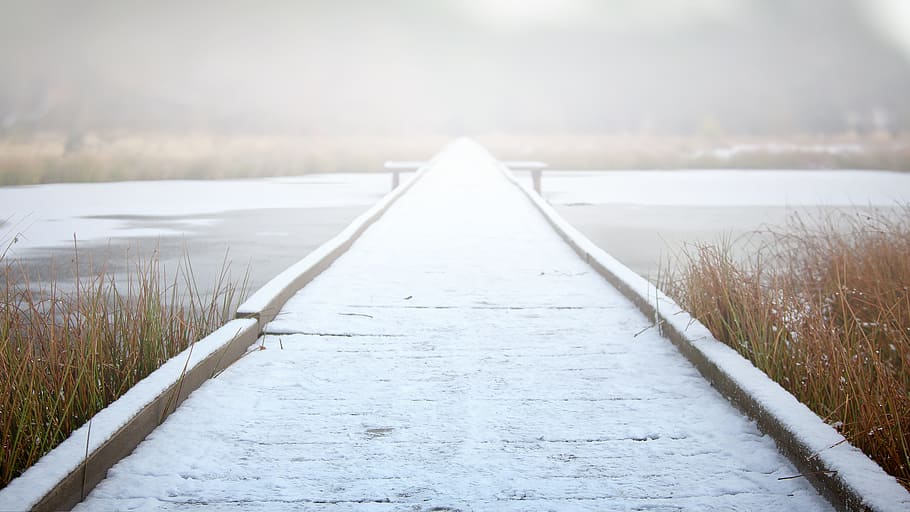 gray wooden dock in between brown grass during daytime, Winter HD wallpaper