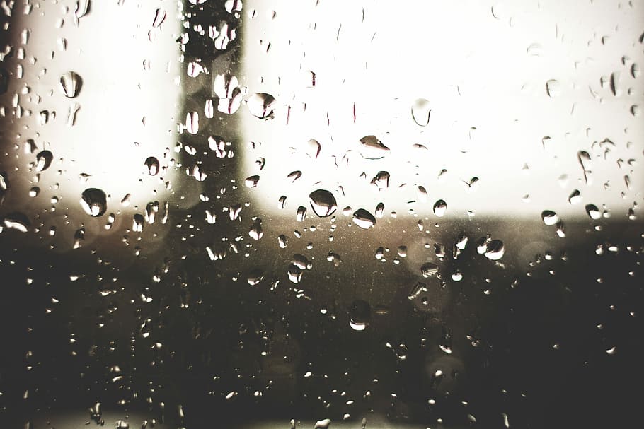 Raindrops on a Window, wet, glass - Material, water, backgrounds, HD wallpaper