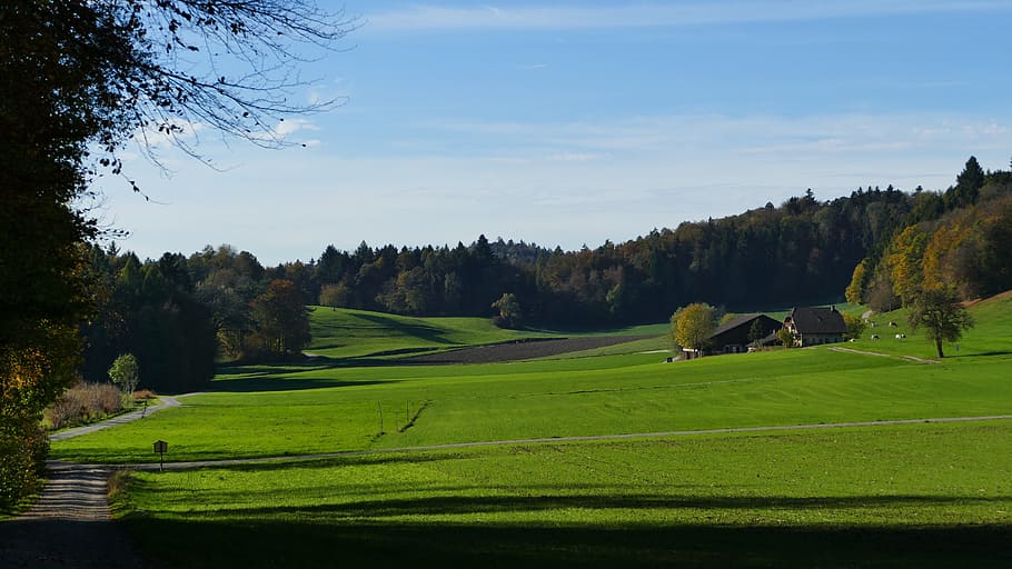 landscape, farm, fields, reported, sun, green, shadow, autumn HD wallpaper