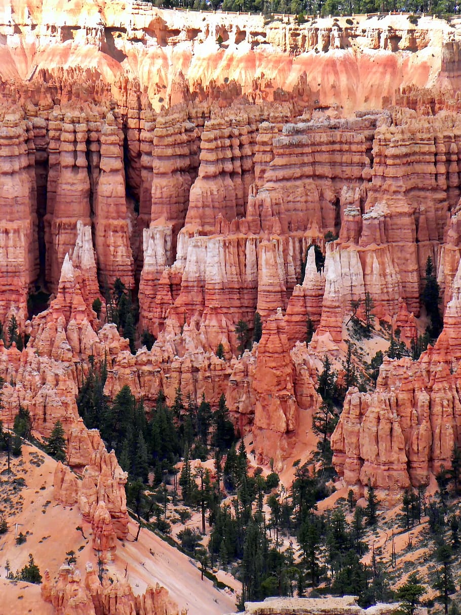 usa, cliff, bryce canyon, hoodoos, erosion, national park, panorama, HD wallpaper