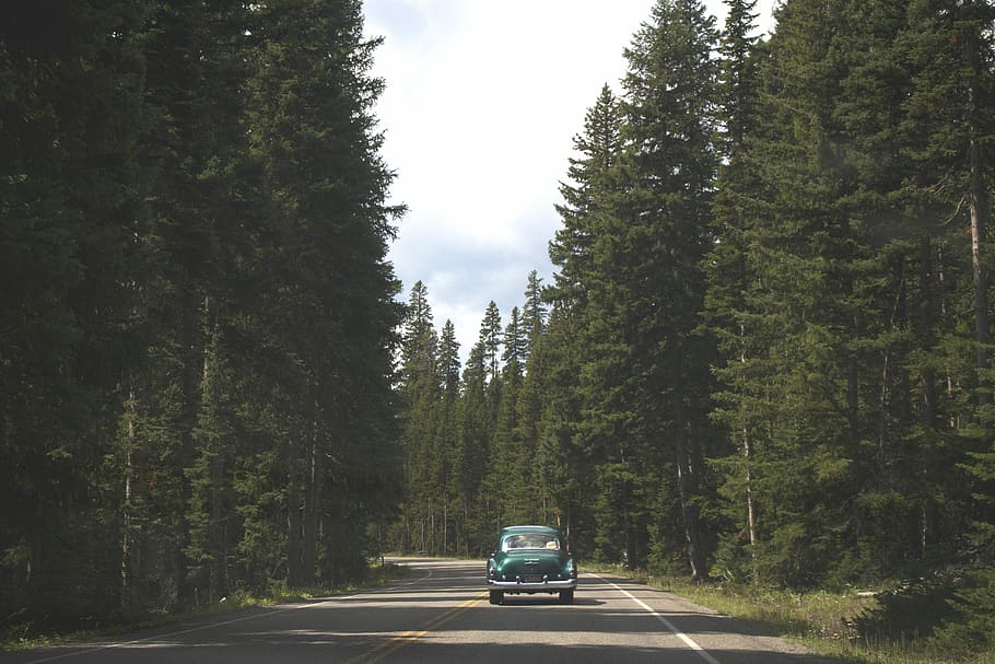 photo of blue car on road, classic green vehicle on road between forest HD wallpaper