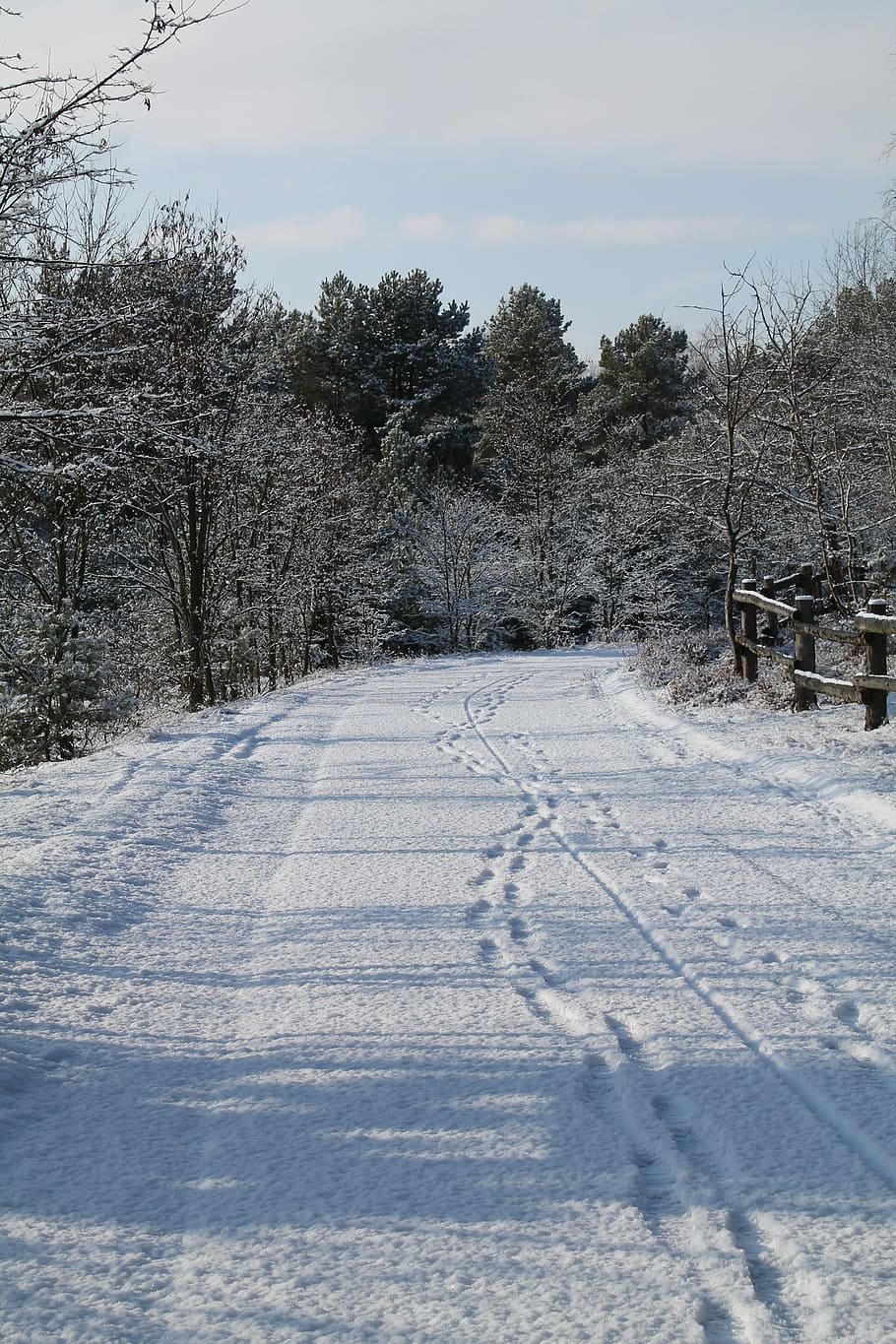 Landscape, Winter, Rest, Away, Snow, holiday, cold temperature HD wallpaper