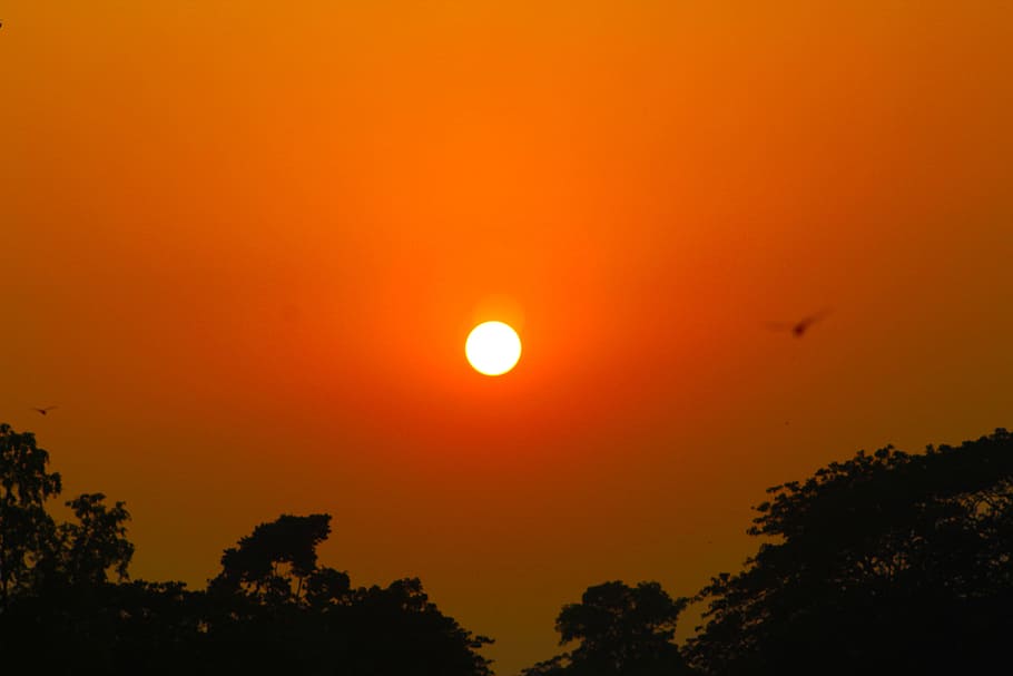 sun, sunset, red sky, summer, sunlight, sunny, outdoor, sunshine HD wallpaper
