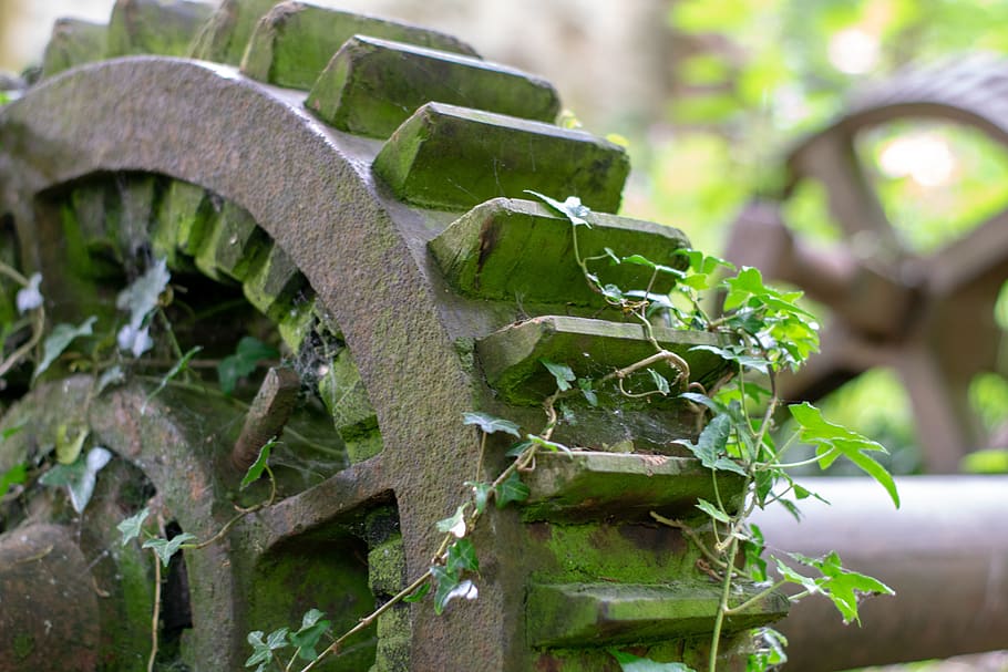 cogs, old derelict mill, rusty, plant, focus on foreground HD wallpaper