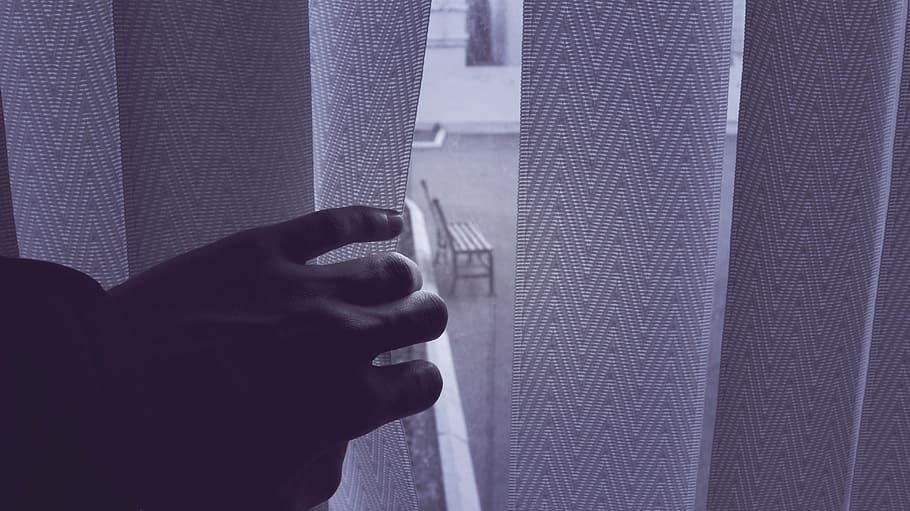 person touching and holding white window curtain, hand, pane HD wallpaper