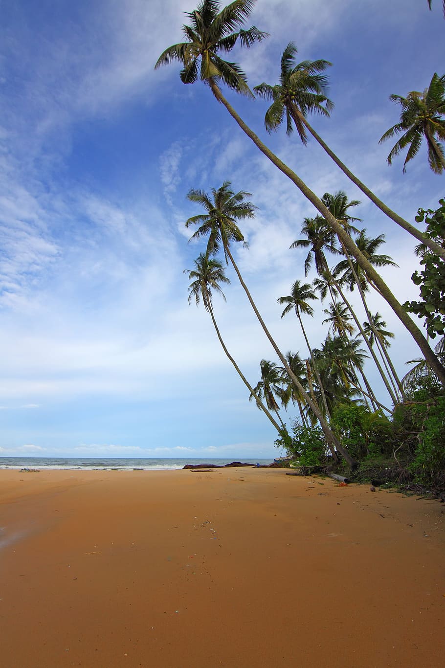 beach, clouds, coconut trees, daylight, idyllic, island, landsape HD wallpaper