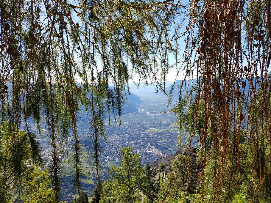 mountains, south tyrol, bergwelt südtirol, hiking, tree, plant, HD wallpaper