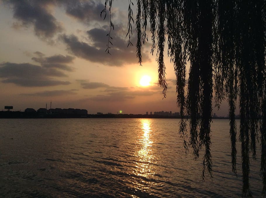 sunset, tree, lake, sky, clouds, nature, water, landscape, orange HD wallpaper