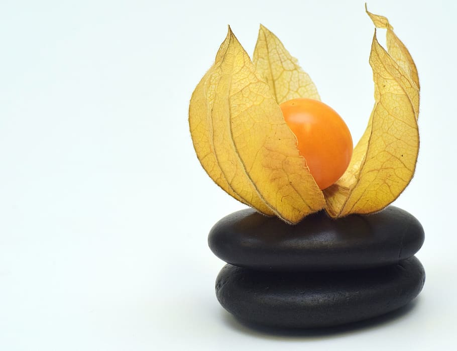 physalis, fruit, berry, orange, food, healthy, vitamins, decoration HD wallpaper