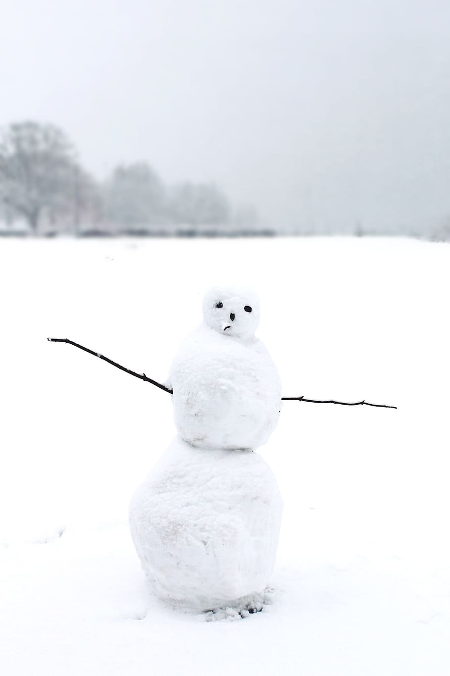 Snow Man, Winter, Wintry, White, cold, funny, winter dream HD wallpaper