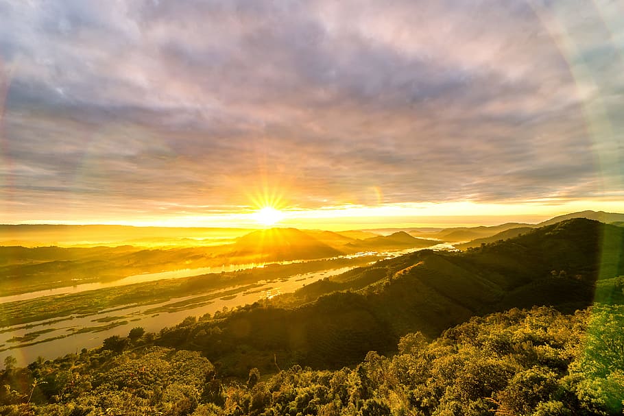 Green Trees Photo during Sunset, clouds, dawn, environment, forest HD wallpaper