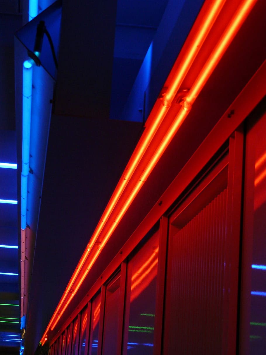 Neon Light, Neon Lights, Neon, Lamps, lighting, neon red, neon blue, HD wallpaper