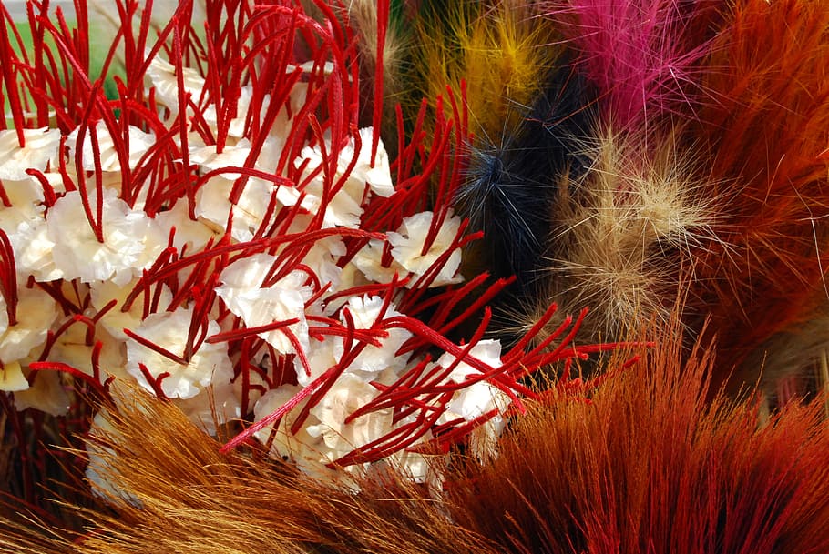 twigs, feathers, handmade, colored, plant, close-up, beauty in nature HD wallpaper