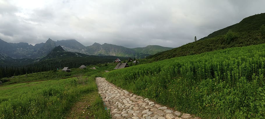 tatry, mountains, cloudy, landscape, hiking trail, the path HD wallpaper