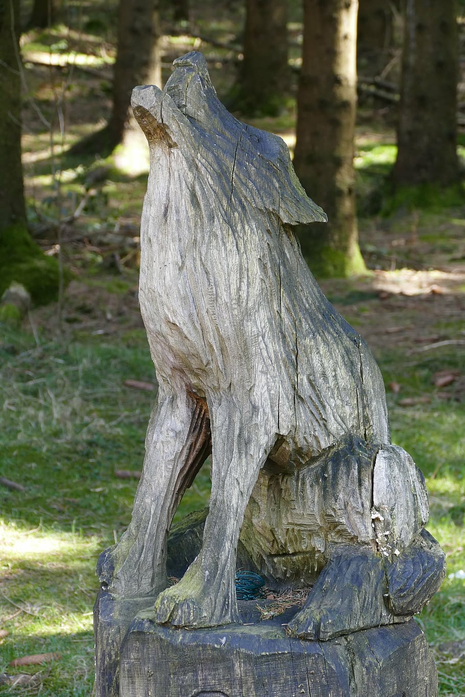 carved figure, idyllic, forest, spring, romantic, hiking, relaxation HD wallpaper