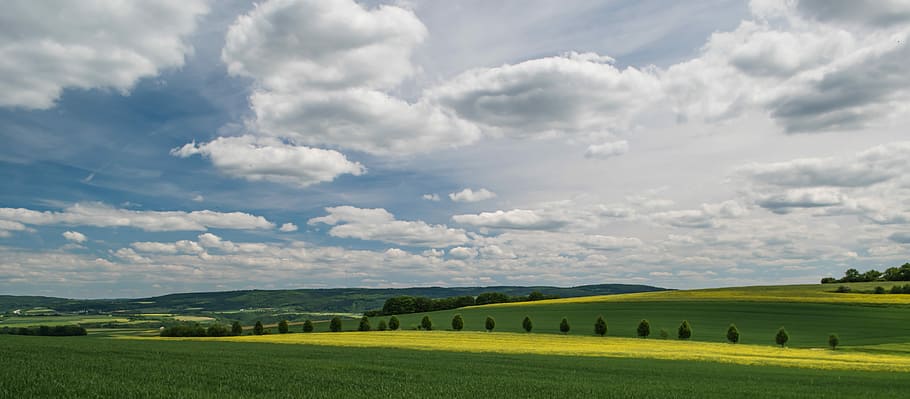 Sky, Clouds, Oilseed Rape, blue, clouds form, covered sky, dark clouds HD wallpaper