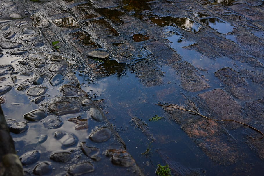 rain, puddle, brick, water, nature, wet, high angle view, no people HD wallpaper