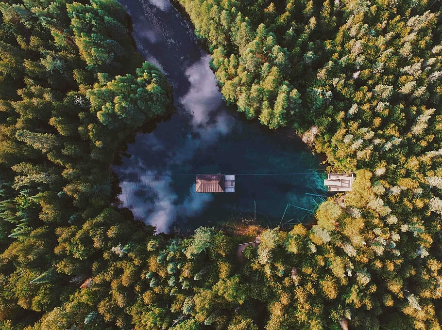 birds-eye view woods, aerial view of mini house over body of water HD wallpaper
