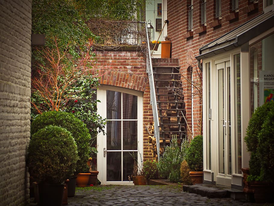 white wooden framed door, backyard, live, residence, old building HD wallpaper