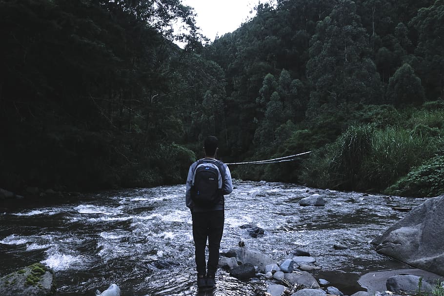 trees, plant, river, water, rocks, nature, people, man, alone HD wallpaper