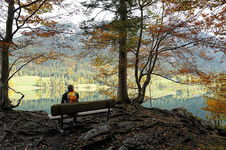hintersteinersee lake, kitzbühel, austria, nature, idyllic, HD wallpaper