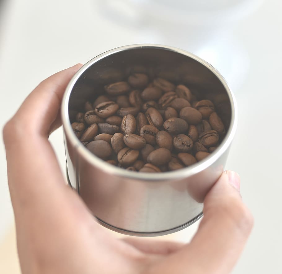 person holding coffee bean in stainless steel bowl, person holding gray container with coffee beans HD wallpaper