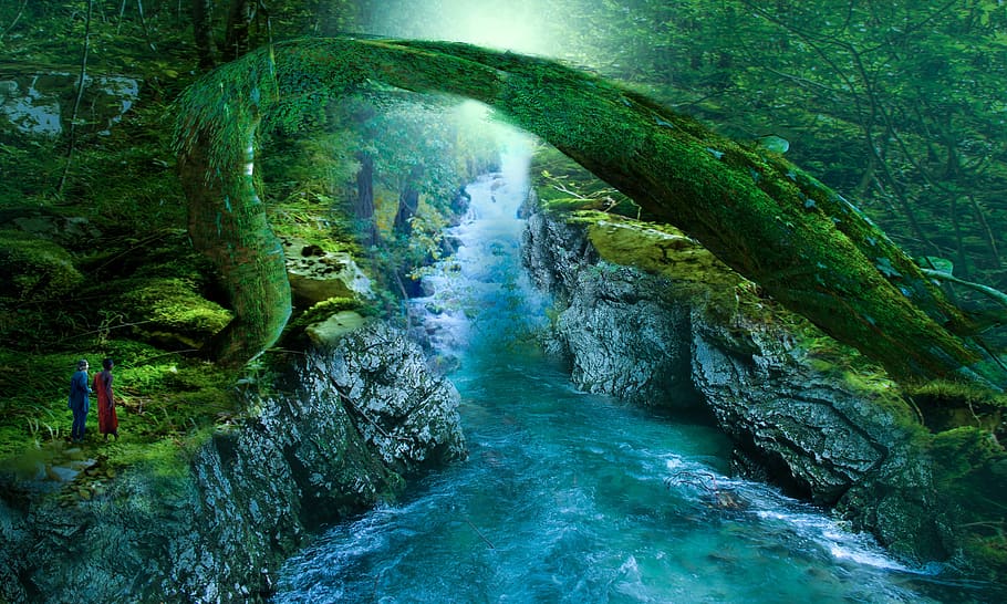 river, forest, rapids, waterfall, magic, fantasia, torrent, HD wallpaper