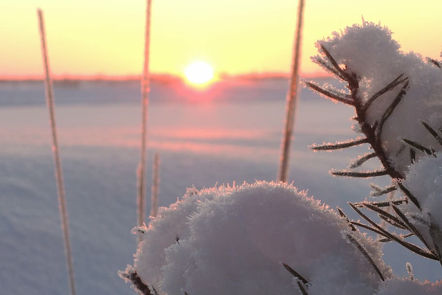 snow, winter, sun, sunset, cold temperature, beauty in nature HD wallpaper