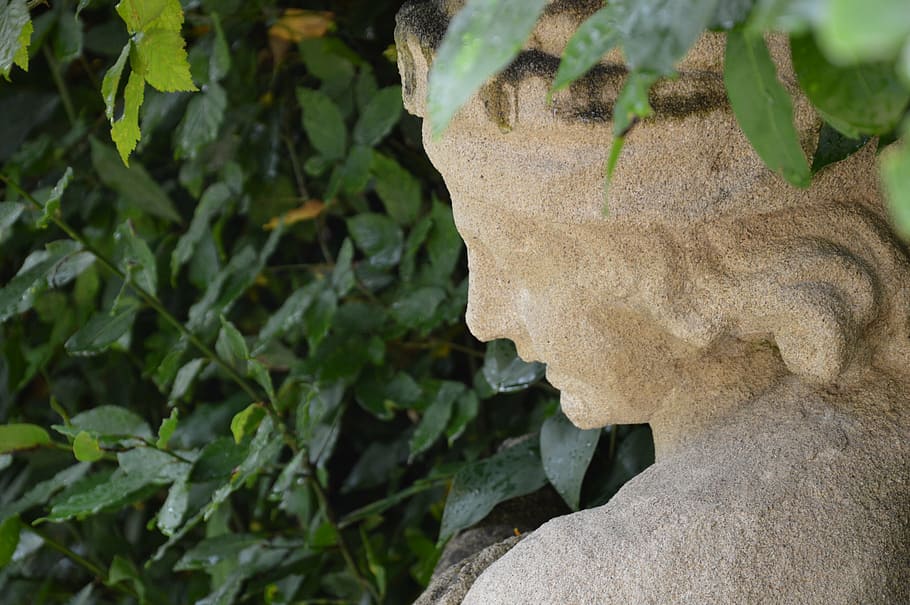 statue, face, rome, italy, greenery, profile, summer, relaxation HD wallpaper