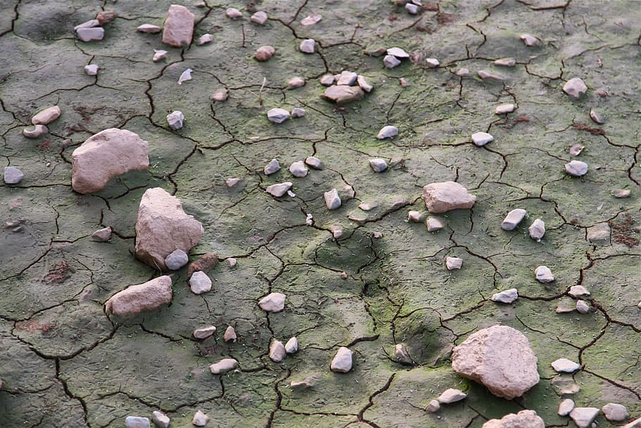 drought, aridity, mud, quartered, plant, no people, day, dry HD wallpaper
