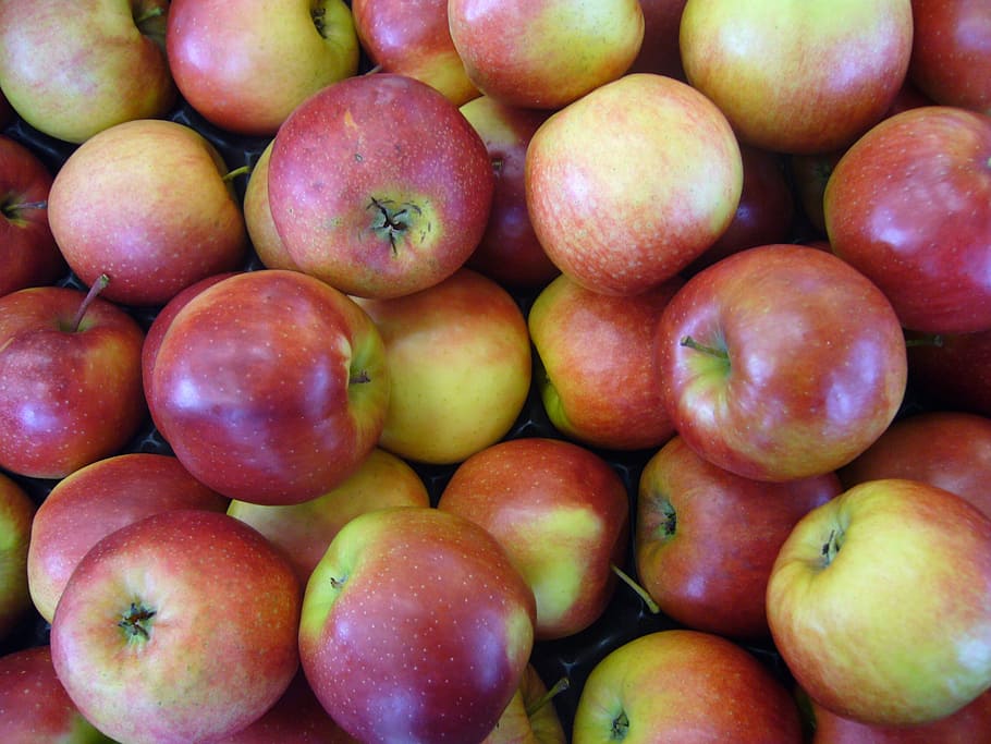 apple, red, green, fruit, food, vitamins, healthy eating, food and drink HD wallpaper