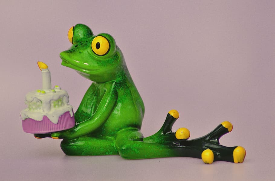 Kermit the Frog holding birthday cake, happy birthday, greeting, HD wallpaper