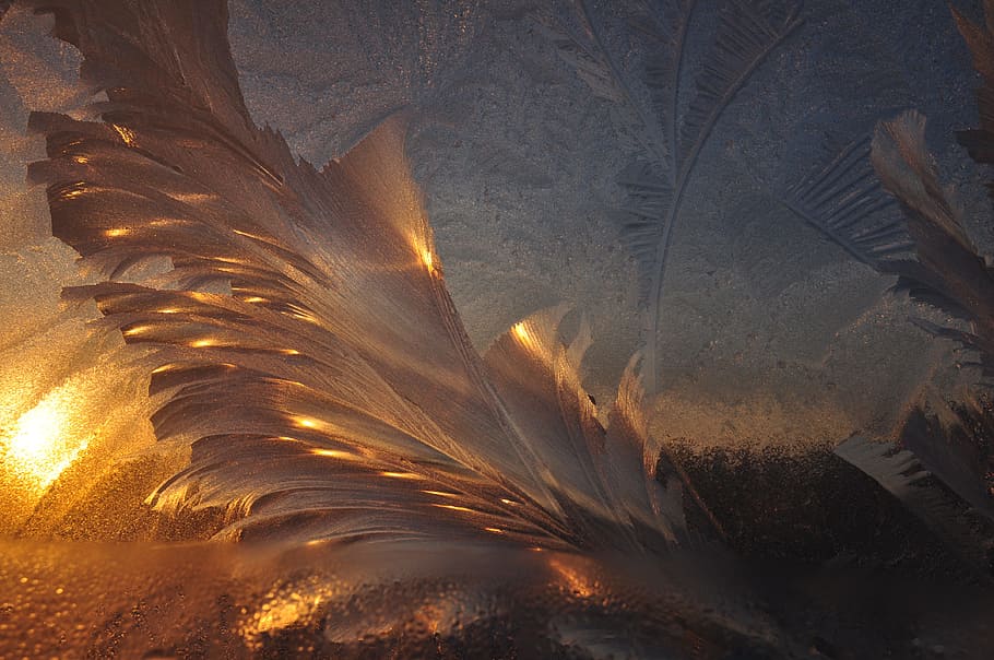 winter, zes, patterns, ze, snow, cold, frost, season, icy, snowy HD wallpaper