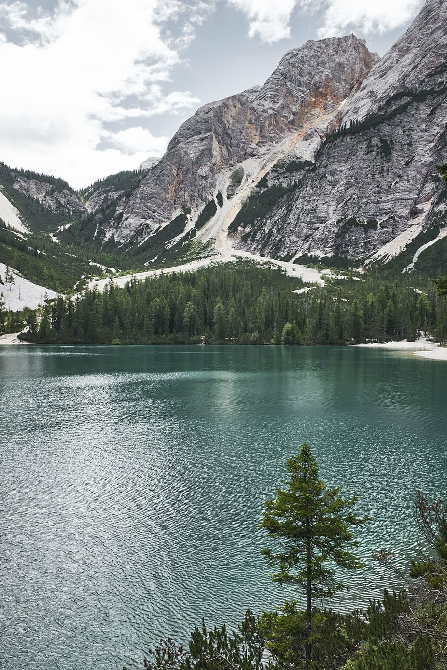 mountain near lake, valley, trees, landscape, nature, green HD wallpaper
