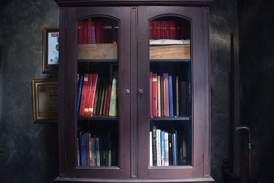 Bookshelf, Book, Shelf, Library, bookcase, interior, window HD wallpaper
