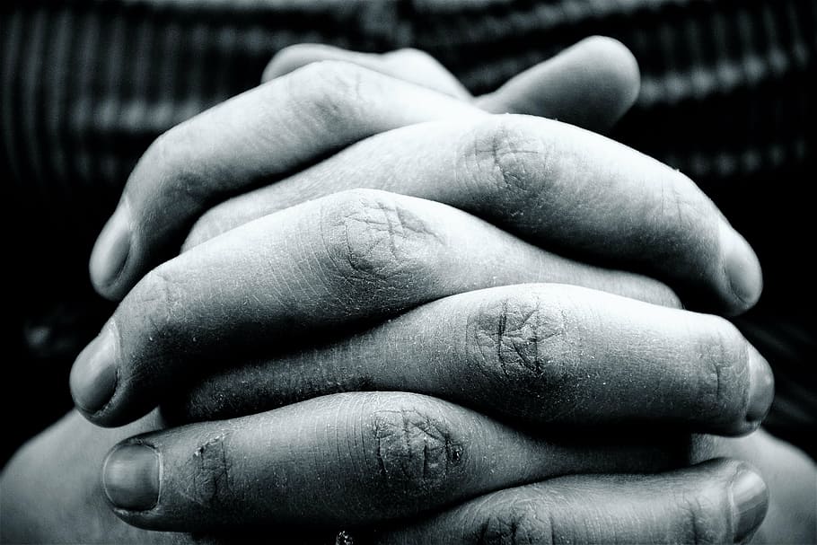 hands, hand, fold, woman, finger, work, together, pray, strained, HD wallpaper