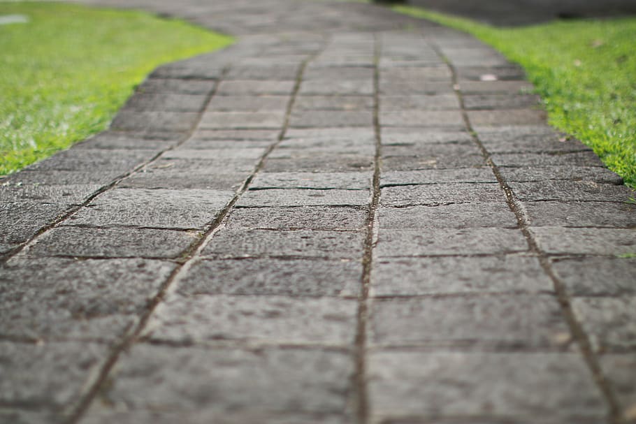 selective focus photography of gray concrete pavement, path HD wallpaper