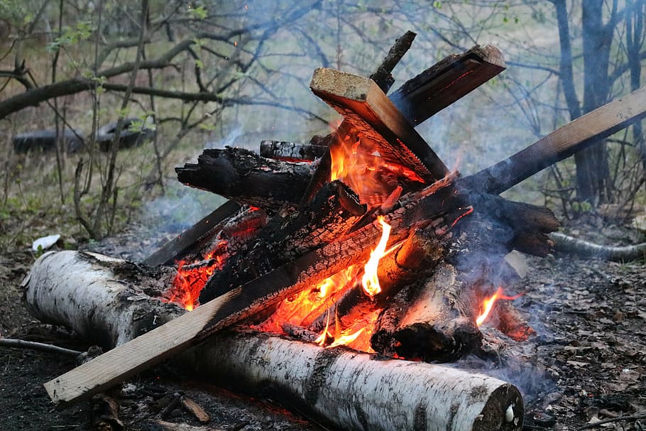 flame, koster, twilight, smoke, firewood, uhl, spark, forest HD wallpaper