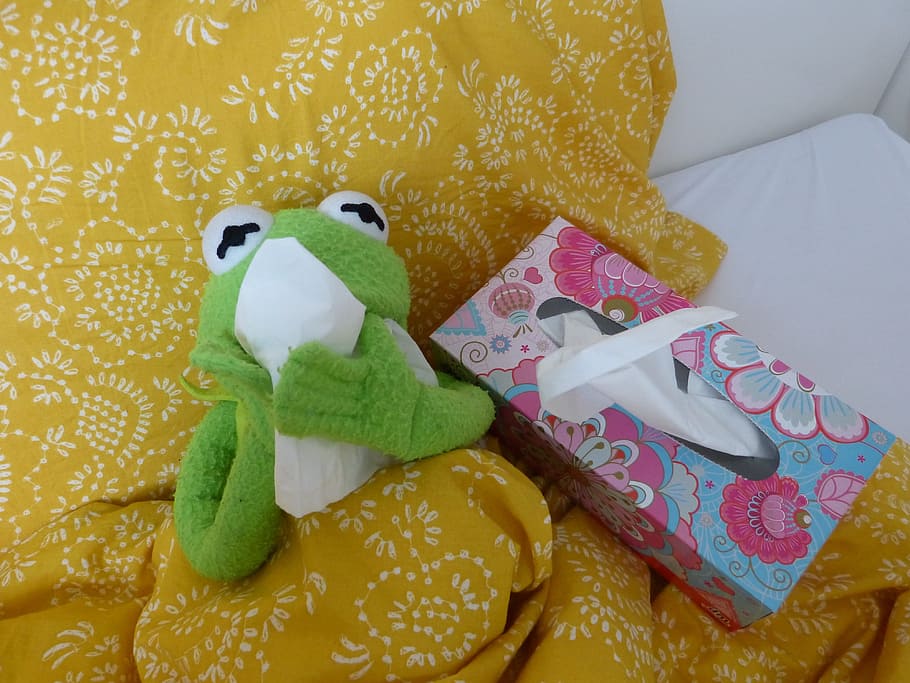 green frog plush toy beside tissue dispenser, ill, cold, sniff HD wallpaper