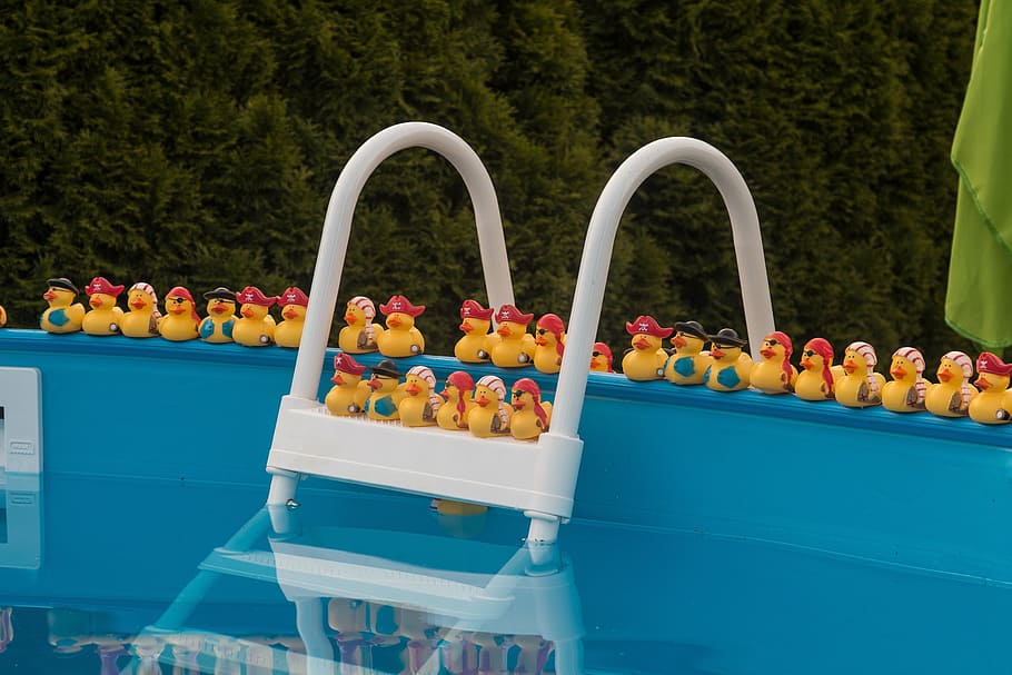 rubber duck toys on above ground pool frame, water, swimming pool, HD wallpaper