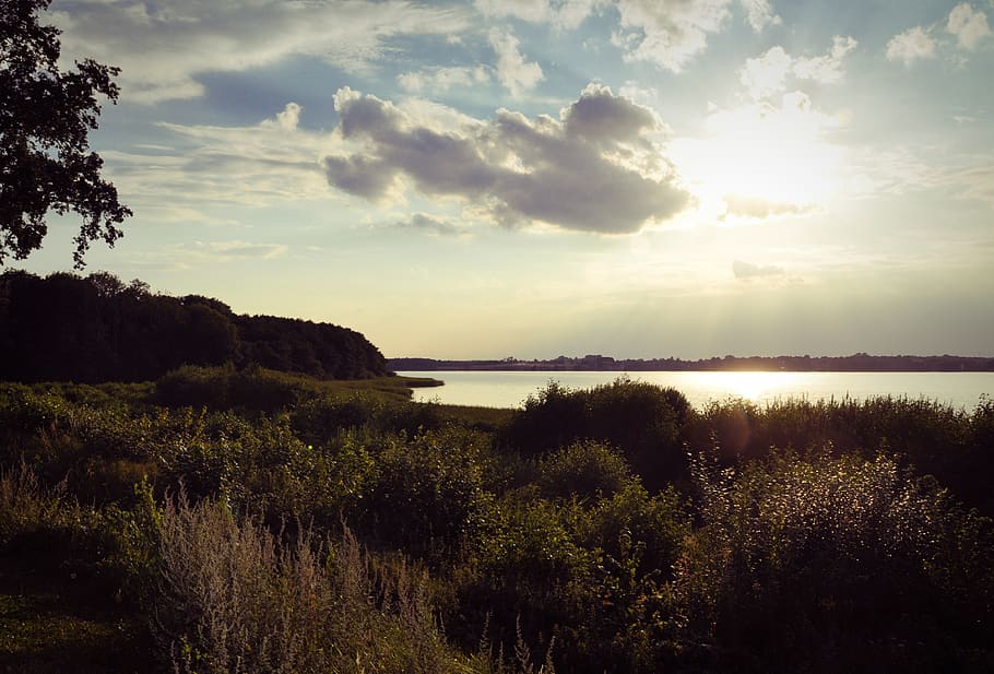 summer, lake, clouds, afternoon, sky, water, plant, tranquility HD wallpaper