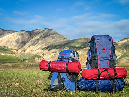 hiking backpacks on grass with mountains background, blue and red camping bag on green grass field HD wallpaper