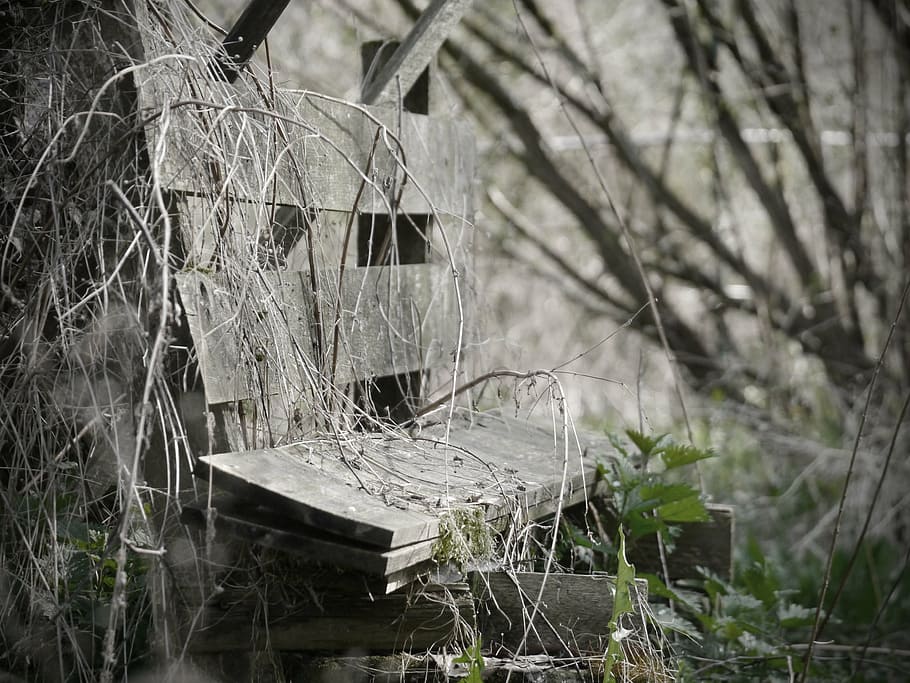 decay, bank, old, broken, weathered, wooden bench, old bench HD wallpaper