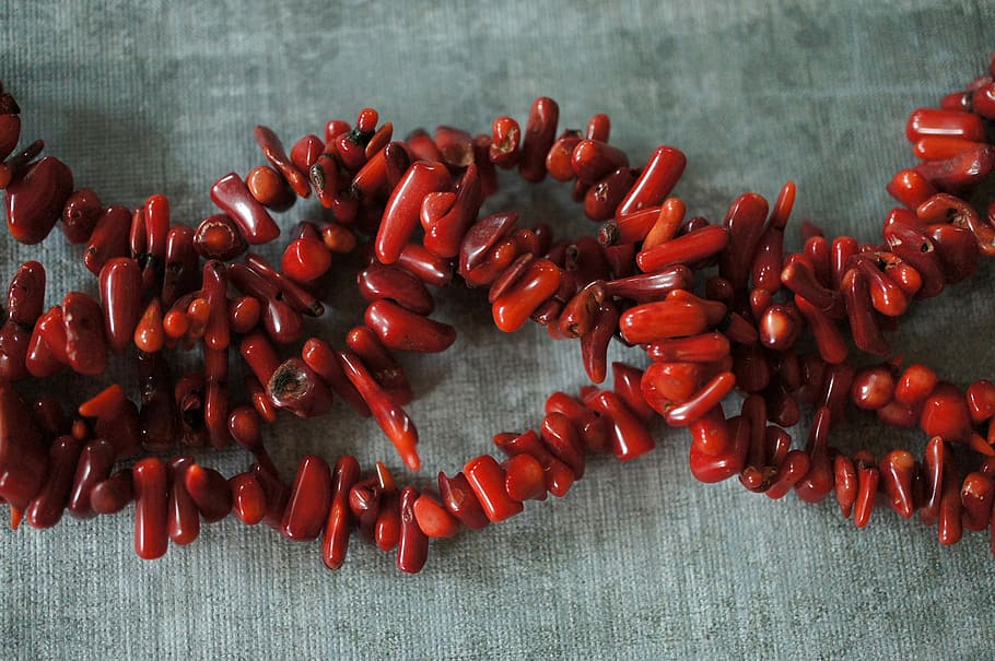 beaded red necklace, coral, ocean, beads, stones, fossil, gemstones HD wallpaper