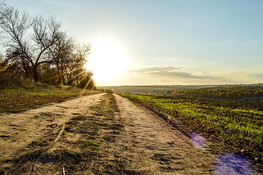primer, sunset, road, beauty, sky, tranquility, plant, the way forward HD wallpaper