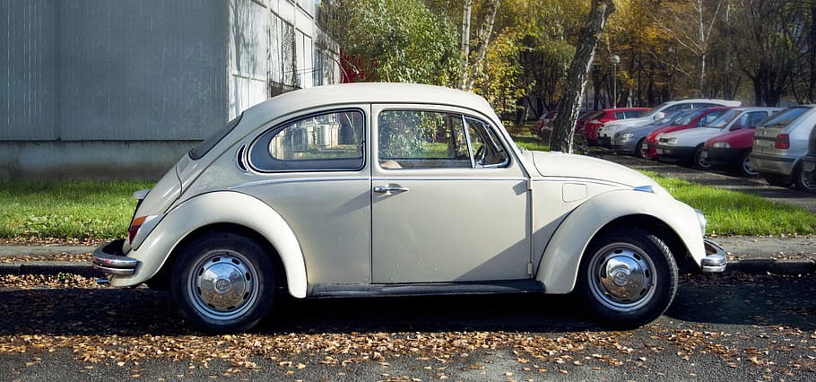 vw beetle, vintage, car, volkswagen, old, classic, auto, automobile, HD wallpaper