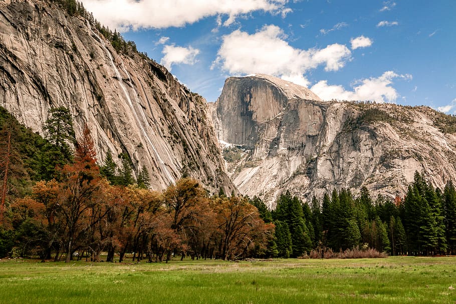 photo of green field near forest, trees near gray mountain, landscape HD wallpaper