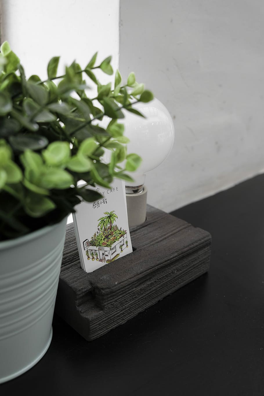 book near green leafed plant and white lightbulb, green plant in pot on black surface, HD wallpaper