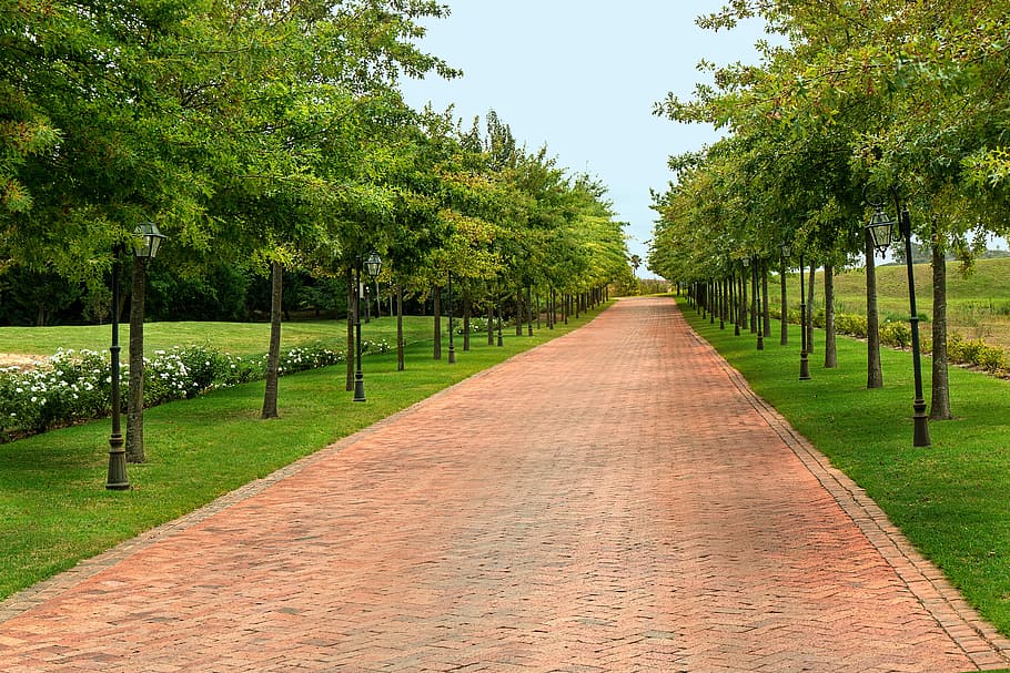 brown bricked pathway with green grass field, road, direction